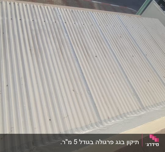 גג מתכת גלי עם ברגים חשופים